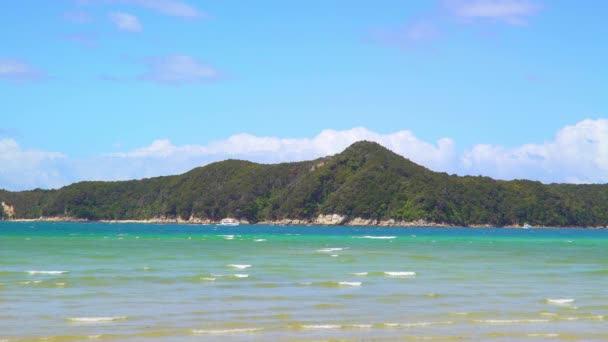 Park Abel Tasman Nieuw Zeeland Sea Abel Tasman National Park — Stockvideo