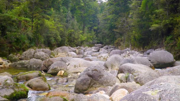 Park Abel Tasman Nova Zelândia Wide Shot Water Flowing Rocks — Vídeo de Stock