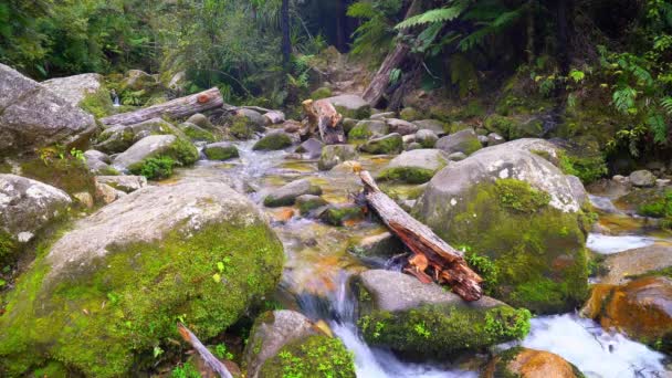 Park Abel Tasman Nieuw Zeeland Medium Water Stroomt Tussen Rotsen — Stockvideo