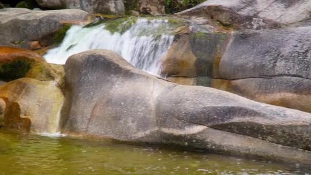 Park Abel Tasman Nya Zeeland Stäng Pan Vatten Rinner Mellan — Stockvideo