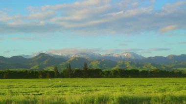 Öndeki ağaçlar Kaikoura yakınlarındaki dağların tepesinde Yeni Zelanda 'nın güney adası.
