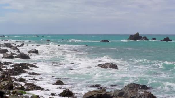 Kaikoura Yeni Zelanda Deniz Kıyısı Kaikoura Yeni Zelanda — Stok video