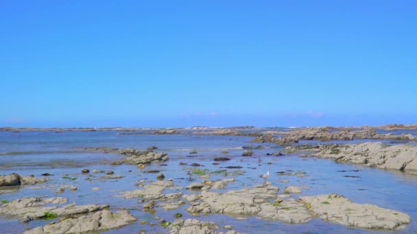 Pohled Moře Kameny Blízkosti Kaikoura Jižním Ostrově Nový Zéland — Stock video