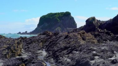 Kaikoura yakınlarındaki büyük kayalar Yeni Zelanda 'nın güney adası.