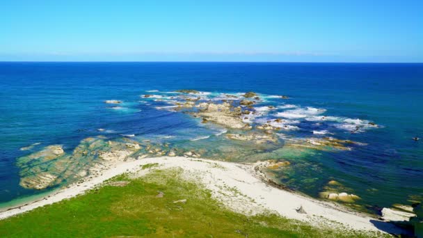 Uitzicht Zee Met Rotsen Buurt Van Kaikoura Het Zuiden Eiland — Stockvideo