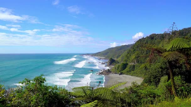 Overview Coastline Sea Tauranga Bay South Island New Zealand — Stock Video