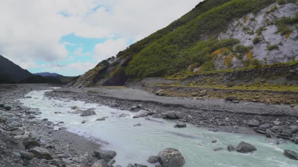 Franz Josef Gletsjer Yakınlarındaki Dere Yeni Zelanda Nın Güney Adası — Stok video