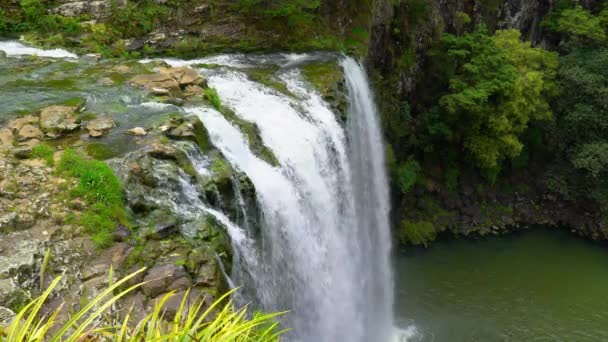 Hidden Whangarei Falls North Island New Zealand — Stock Video