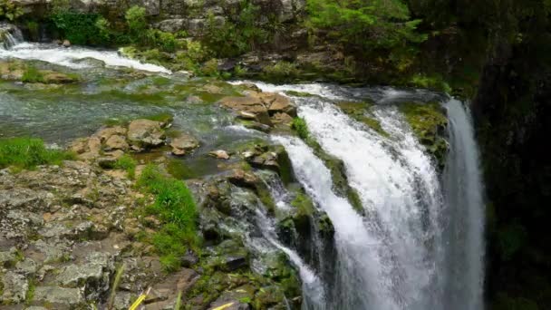 Den Dolda Whangarei Falls Nordön Nya Zeeland — Stockvideo
