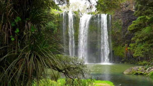 Las Cataratas Ocultas Whangarei Isla Norte Nueva Zelanda — Vídeos de Stock