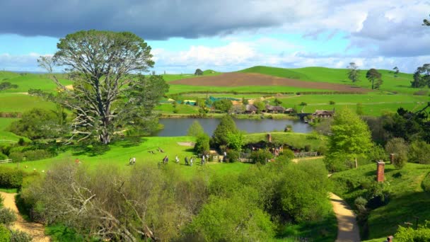 Hobbiton New Zealand Oktober 2016 Overview Hobbiton Movie Set New — 비디오