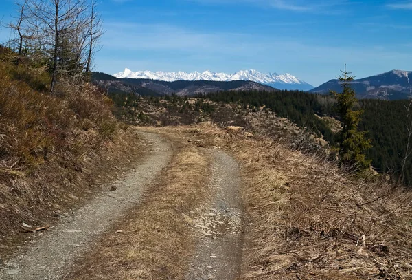 Caminhadas na colina de Benuska - em vista de fundo no Tatras Alto. — Fotografia de Stock