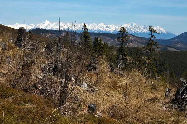 Caminhadas na colina Benuska vista sobre o Tatras Alto. Primavera, neve, céu e montanhas. — Fotografia de Stock