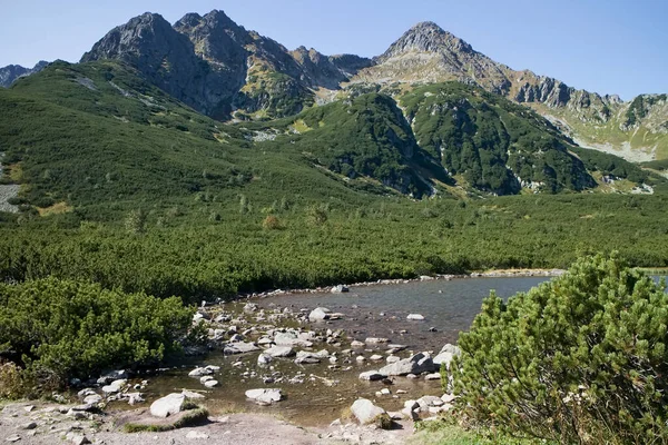 Środowisko Alpejskie Nad Białym Jeziorem Tatrach Wysokich Piękna Słowacja — Zdjęcie stockowe