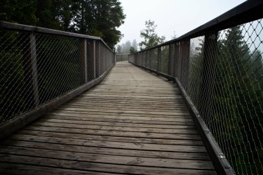 Bachledova Vadisi. Slovakya 'da ağaçların arasında tahta bir patika var..