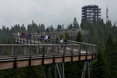 Bachledova vadisi, sisli havada ağaçlardan yapılmış tahta geçit tacı..