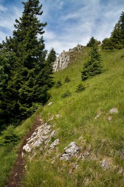 Velka Fatra, Tlsta 1373 m. n.m, Slovakya: Tlsta ağır bir şekilde ele geçirilmiş, iflas etmiş bir kireçtaşı dolomit kompleksi.
