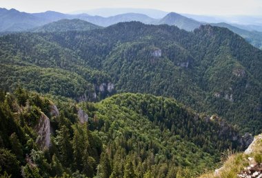 Velka Fatra, Tlsta 1373 m. n.m, Slovakya: Ostra 'nın Tlsta Tepesi' ne tırmanışı.