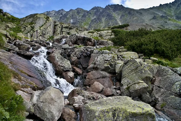 Die Umgebung des Wasserfalls Skok im Mlynicka-Tal. Ziel Hohe Tatra. — Stockfoto