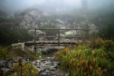 High Tatras, Velka Studena Vadisi: Zbojnicka kır evine yürüyüş sahneleri