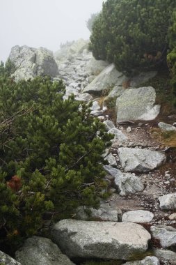High Tatras, Velka Studena Vadisi: Zbojnicka kır evine yürüyüş sahneleri