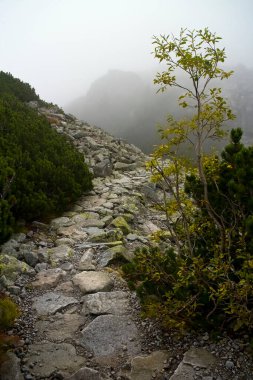 High Tatras, Velka Studena Vadisi: Zbojnicka kır evine yürüyüş sahneleri
