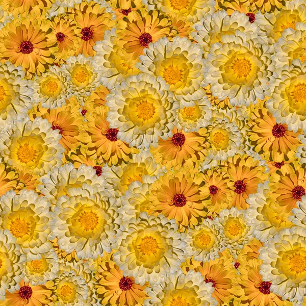 floral print collage, seamless floral pattern. the delicate orange flowers of calendula. decorative elements for design and creativity