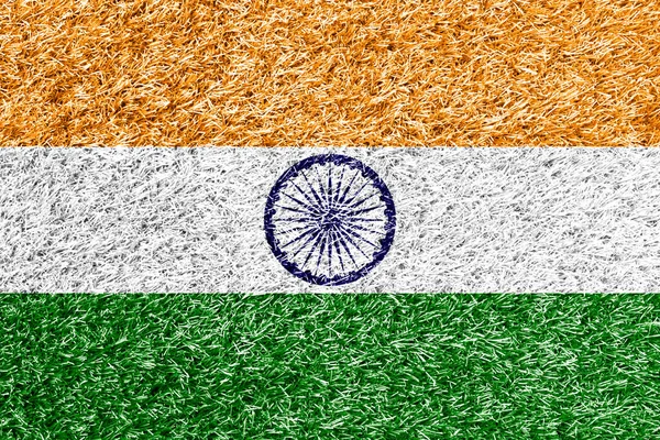 India Vlag Gras Achtergrond Textuur — Stockfoto