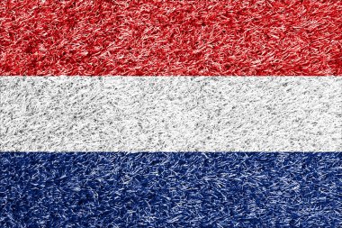 Çim arkaplan dokusunda Hollanda bayrağı