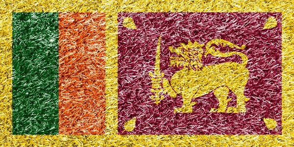 Sri Lanka Flag Grass Background Texture — ストック写真