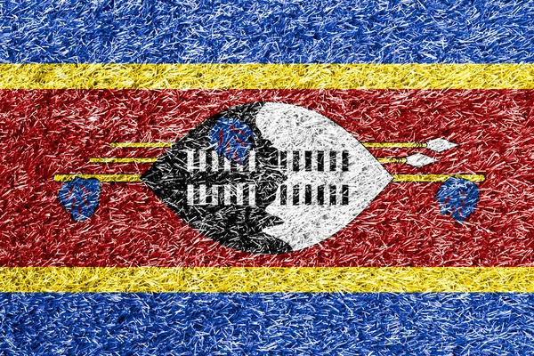 Swaziland Flag Grass Background Texture — Stockfoto