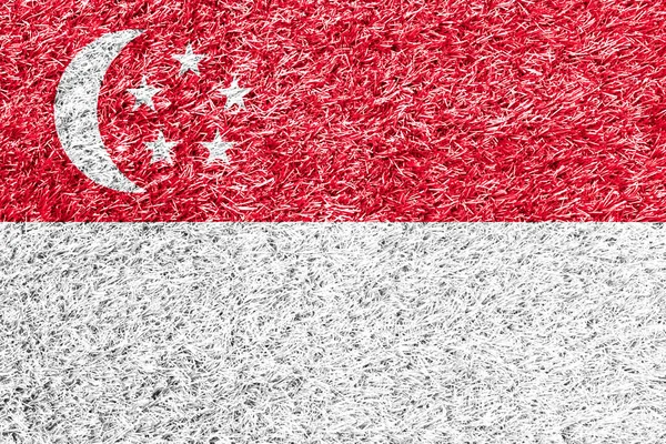 Singapore Flag Grass Background Texture — Stock Photo, Image