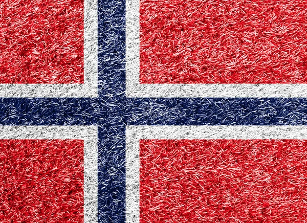 Norway Flag Grass Background Texture Лицензионные Стоковые Изображения