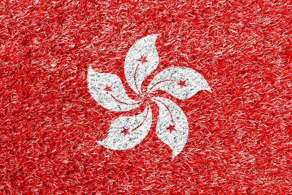 Hong Kong Flag Grass Background Texture — Stock fotografie