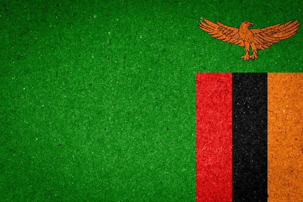 Zambia flagga på papper bakgrund — Stockfoto