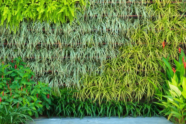 Jardín vertical —  Fotos de Stock