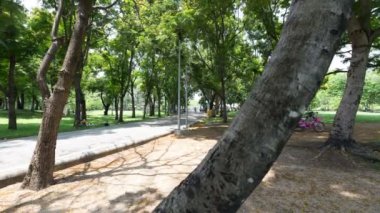 Halk parkı zaman atlamalı Hd