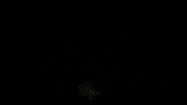 Fogos de artifício à noite — Vídeo de Stock
