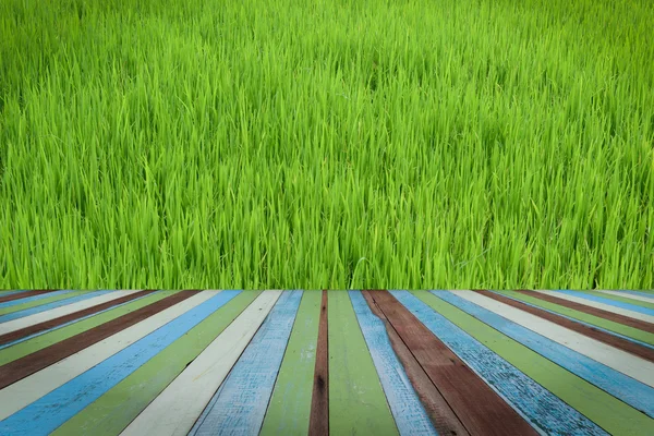 Green grass background. — Stock Photo, Image