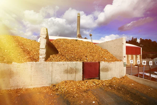 Centrale bio avec stockage de combustible en bois contre ciel bleu — Photo