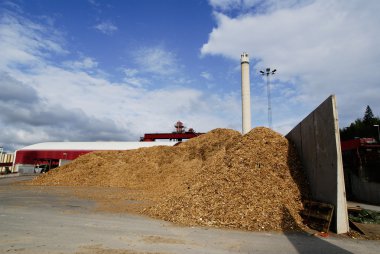 biyo enerji santrali ile depolama bl karşı ahşap yakıt (biyokütle)