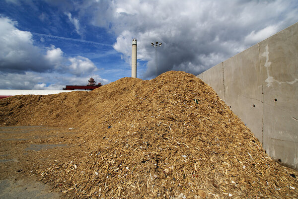 storage of wooden fuel (biomass) against blue sky