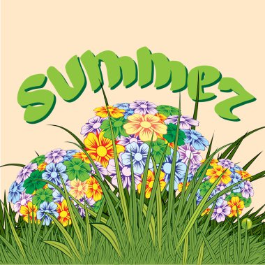 Çeşitli yaz çiçek.