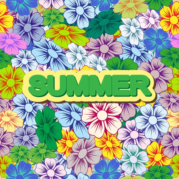 Különböző nyári virágok. — Stock Vector