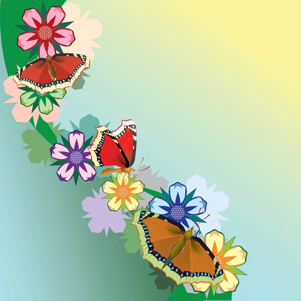 Varias flores de verano . — Vector de stock