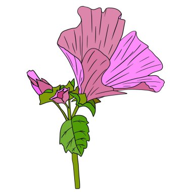 Çok renkli bahar çiçekleri. Doğa çiçek açıyor ve neşeli.