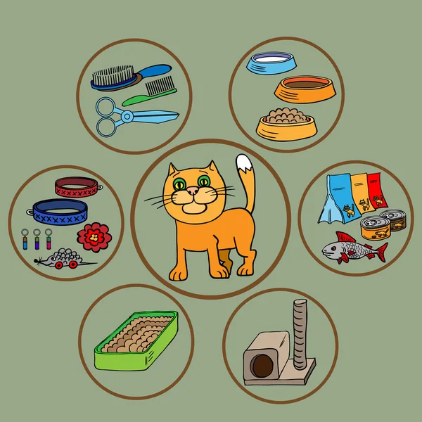 Infographie. Les chats domestiques et tout ce qui est nécessaire pour l'entretien et les soins . — Image vectorielle