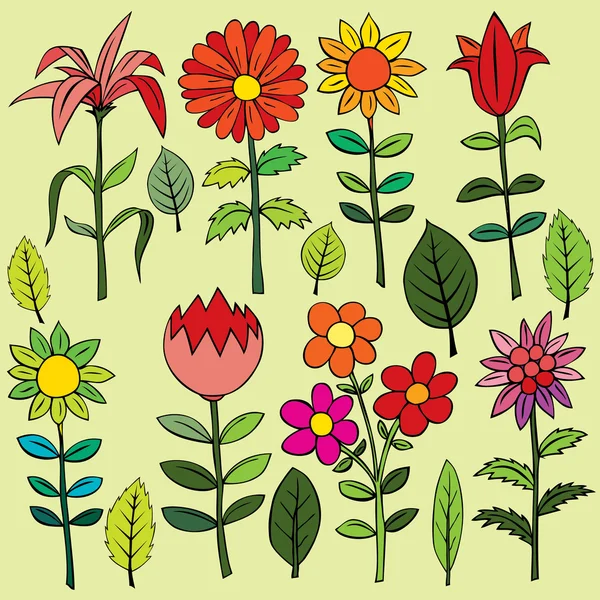 Various summer flowers. — Stock Vector