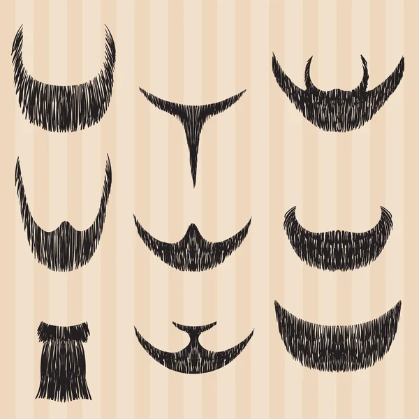 Hair styling beard — Stock Vector