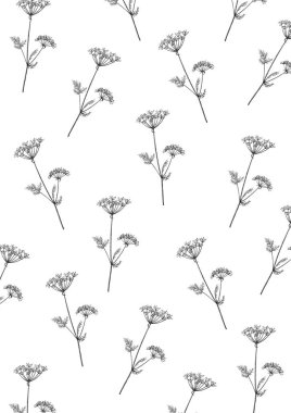 Yaban domuzunun minimalist çizimi. Zehirli bitki Hogweed 'i daire içine almış, kartpostal atmış. El yapımı yaban domuzu. Kuru yabani ot çiçeği. çizgi çizimi.